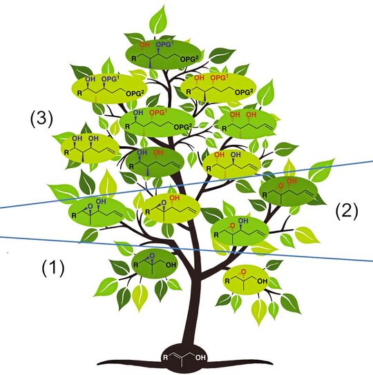 Chemiker der Universität Bonn haben einen Prozess entwickelt, um acht Varianten aus einem Ausgangsstoff herzustellen. (Beschreibung dazu im Text)(Bild:  Angewandte Chemie; DOI: 10.1002/anie.202317525)
