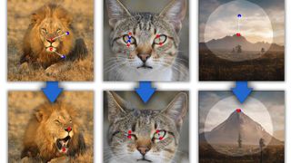 Mit der Drag Gan Methode können komplexe Bildbearbeitungen durchgeführt werden. Die KI generiert dabei eine Vorhersage für ein neues Bild, die wiederum von einem anderen Modell kontrolliert wird.  (Bild: MPI-INF)