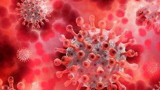 The researchers are hopeful that their insights will inform a greater story of mortality and loss during the Covid-19 pandemic, while inspiring further research into contributing factors to this trend. (Source: Pixabay)