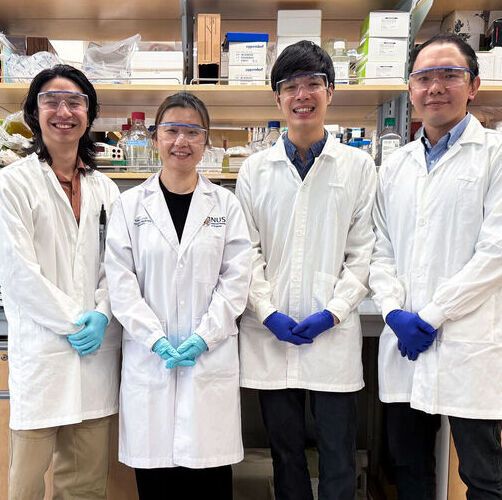 From left: Gan Wei Liang; Associate Professor Polly Leilei Chen, Principal Investigator and corresponding author; Dr Larry Ng, first author; and Vincent Tano, second author. (Source:  National University of Singapore)