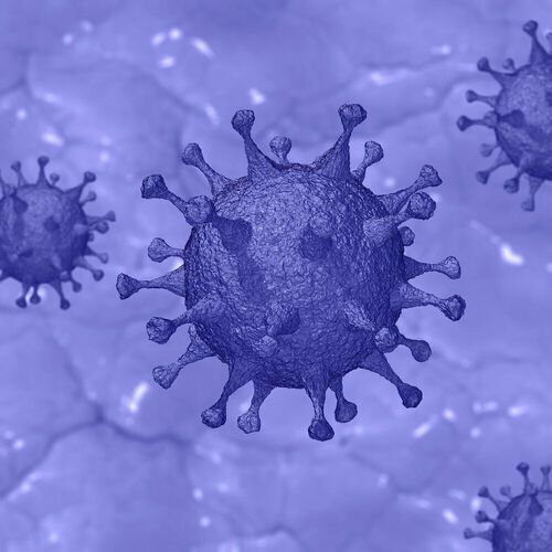 After accounting for age, sex, deprivation, and smoking status, the research suggests that people with IMIDs affecting the bowel, joints and skin had a 23 % increased risk of Covid-19-related death compared to people without IMIDs before the introduction of vaccines. After accounting for age, sex, deprivation, and smoking status, the research suggests that people with IMIDs affecting the bowel, joints and skin had a 23 % increased risk of Covid-19-related death compared to people without IMIDs before the introduction of vaccines.