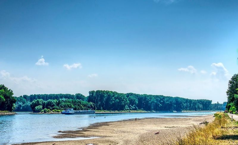Das Niedrigwasser im Rhein macht vielen Industrieunternehmen zu schaffen. Die BASF muss in Ludwigshafen ihre TDI-Produktion aufgrund fehlender Rohstoffe herunterfahren. (gemeinfrei)