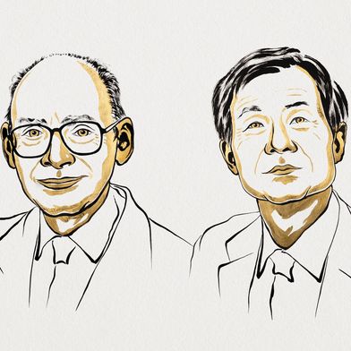 Henri B. Kagan (a sinistra) e Kenso Soai si dividono il Premio Nobel per la Chimica 2026 per i loro progressi nel campo dell’omochiralità delle reazioni. (Immagine:Ill. Niklas Elmehed © Nobel Prize Outreach)