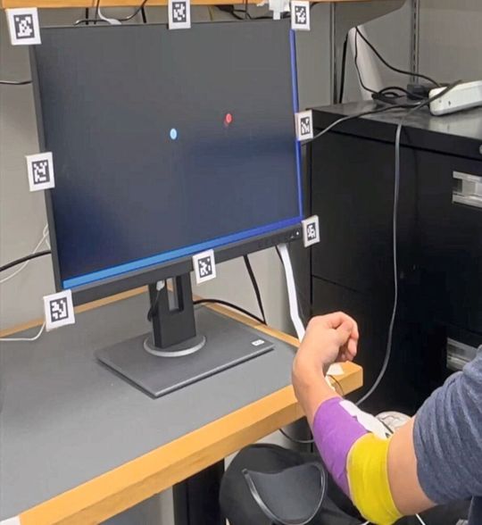 Das Closed-Loop-System in der Praxis: Während der Proband versucht, den Cursor (blauer Punkt) per Muskelkraft zum Ziel (roter Punkt) zu steuern, passen sich Algorithmus und Nutzer kontinuierlich aneinander an.(Bild:  Maneeshika Madduri)