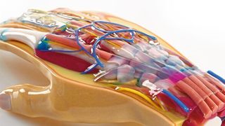 Aktuelle Polyjet-Drucker drucken in einem Modell unterschiedliche Materialien – mit unterschiedlichen Farben oder Eigenschaften. Für die CAD-Systeme ist das eine Herausforderung.  (Stratasys)