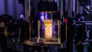 Holografische Projektion eines Modells eines menschlichen Ohrs.  (Bild: Adrien Buttier/EPFL)