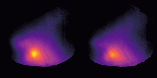 Die Weitfeld-Kalzium-Bildgebung zeigt, wie der hintere Teil der Inselrinde der Maus auf kalte (l.) und warme (r.) Temperaturreize an der Vorderpfote reagiert. (Bild:  Mikkel Vestergaard, AG Poulet, Max Delbrück Center)