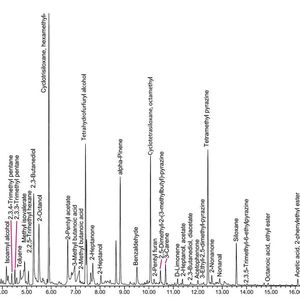 Abb. 3: Gesamtionenchromatogramm nach TF-SPME (3 Std., 40 °C) von Zartbitterschokolade.(Bild:  Gerstel)