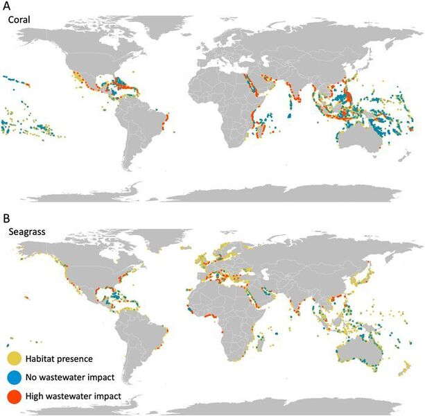 Maps show where A) coral reefs and B) seagrass beds are heavily impacted (raster cells in top 2.5 % of exposure; red dots), not impacted (no exposure to wastewater N; dark blue dots), or impacted but not in the top 2.5 % (yellow dots). Raster cells are represented as points which visually over-represents the habitat; red is overlaid on top which makes it visually dominant; blue points are transparent and overlaid on green/yellow points such that higher densities of unimpacted areas are brighter blue. (CC BY 4.0)