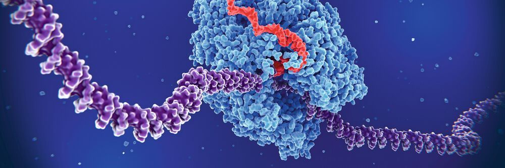 Synthetische DNA weist Grippe nach