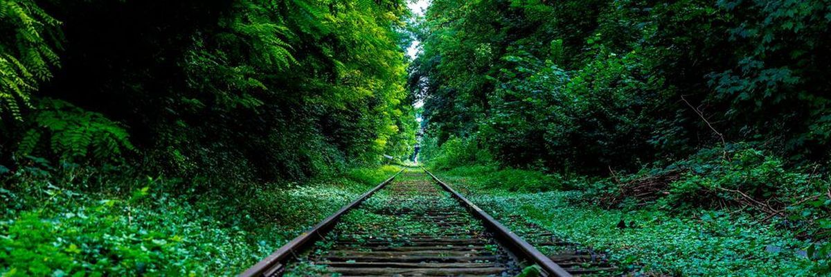 Hydrogen trains pave the way to a green future.