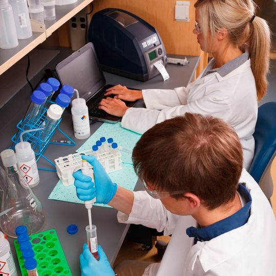 Durch eine automatisierte Probenkennzeichnung können Labore viel Zeit sparen Durch eine automatisierte Probenkennzeichnung können Labore viel Zeit sparen
