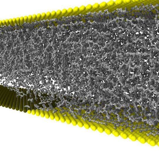 Eine Kavitationsblase entsteht im Schmiermittel zwischen Öl-anziehender (gelb) und Öl-abstoßender Fläche (schwarz). Als Puffer könnte sie Verschleiß reduzieren.