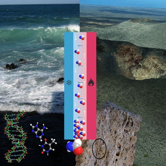 Die Bildcollage zeigt rechts vorne poröses Basaltgestein. Temperaturdifferenzen, die zum Beispiel durch vulkanische Aktivität entstehen, können zur Konzentration gelöster Formamidmoleküle (kleine Molekülmodelle) am kältesten Punkt der Porenböden führen (Schema in der Mitte). Dort wird die Synthese von Nukleinbasen (mittelgroße Modelle) und Erbsubstanz (Modell ganz links) möglich. Die Bildcollage zeigt rechts vorne poröses Basaltgestein. Temperaturdifferenzen, die zum Beispiel durch vulkanische Aktivität entstehen, können zur Konzentration gelöster Formamidmoleküle (kleine Molekülmodelle) am kältesten Punkt der Porenböden führen (Schema in der Mitte). Dort wird die Synthese von Nukleinbasen (mittelgroße Modelle) und Erbsubstanz (Modell ganz links) möglich.