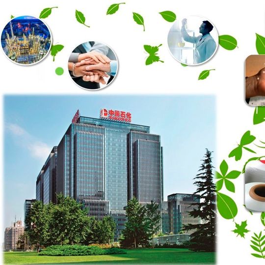 Sinopec Group is an integrated energy and chemical company, ranking second in the Fortune Global 500 List in 2015. Sinopec Group is an integrated energy and chemical company, ranking second in the Fortune Global 500 List in 2015.