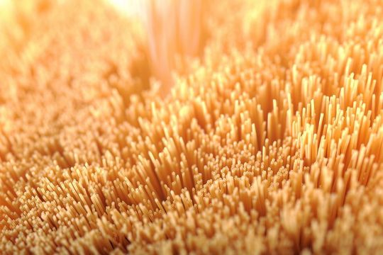 Evonik Industries has developed a new hollow-fiber membrane for efficient nitrogen production. Evonik Industries has developed a new hollow-fiber membrane for efficient nitrogen production.