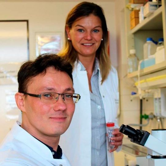 Prof. Dr. Karina Reiß (hinten) und Dr. Anselm Sommer, Exzellenzcluster Entzündungsforschung und Klinik für Dermatologie, Venerologie und Allergologie UKSH Kiel, erforschen Enzyme (Proteasen) und deren Hemmstoffe, die von Bedeutung für Entzündungskrankheiten sind. Prof. Dr. Karina Reiß (hinten) und Dr. Anselm Sommer, Exzellenzcluster Entzündungsforschung und Klinik für Dermatologie, Venerologie und Allergologie UKSH Kiel, erforschen Enzyme (Proteasen) und deren Hemmstoffe, die von Bedeutung für Entzündungskrankheiten sind.