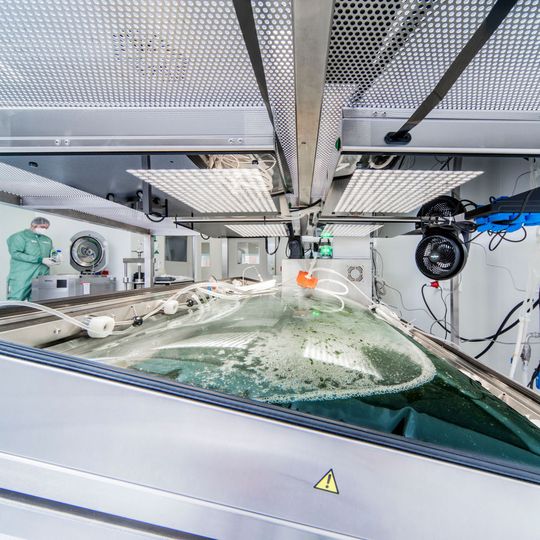 Greenovation hat sich zum Ziel gesetzt, die Produktion von hoch effizienten Glykoproteinen für die Behandlung von seltenen Erkrankungen zu optimieren. Greenovation hat sich zum Ziel gesetzt, die Produktion von hoch effizienten Glykoproteinen für die Behandlung von seltenen Erkrankungen zu optimieren.