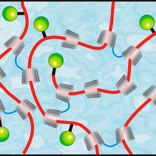 Umweltfreundliche, ringförmige Cyclodextrine aus Maisstärke (grau) bilden die Grundlage des Autolackes, der Kratzer von selbst repariert. Umweltfreundliche, ringförmige Cyclodextrine aus Maisstärke (grau) bilden die Grundlage des Autolackes, der Kratzer von selbst repariert.