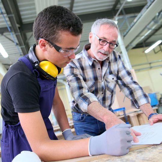 In the educational model focused on practice, theory lays the grounds for developing specific skills In the educational model focused on practice, theory lays the grounds for developing specific skills
