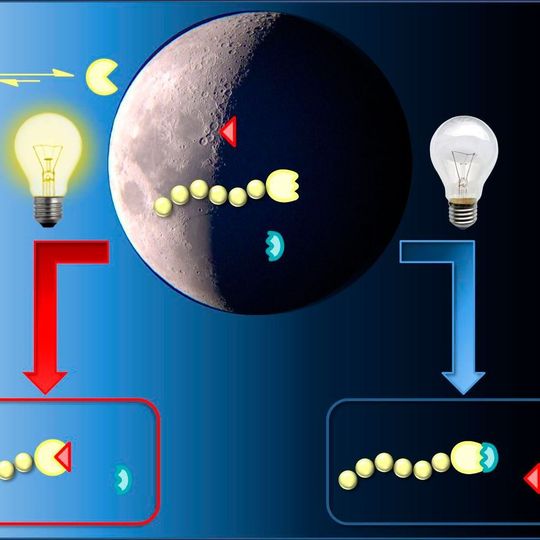 Wie sich mit Licht chemische Prozesse schalten lassen, haben Wissenschaftler des KIT gemeinsam mit internationalen Kollegen grundlegend untersucht. Wie sich mit Licht chemische Prozesse schalten lassen, haben Wissenschaftler des KIT gemeinsam mit internationalen Kollegen grundlegend untersucht.