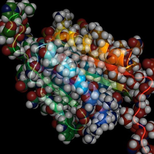 Die räumliche Struktur eines Proteins, die durch Faltung langer Eiweißketten entsteht. Wissenschaftler des Forschungszentrum Jülich haben in Abwasserrohren Bakterien gefunden, die für den Abbau von Proteinen die passenden Enzyme produzieren können. Die räumliche Struktur eines Proteins, die durch Faltung langer Eiweißketten entsteht. Wissenschaftler des Forschungszentrum Jülich haben in Abwasserrohren Bakterien gefunden, die für den Abbau von Proteinen die passenden Enzyme produzieren können.