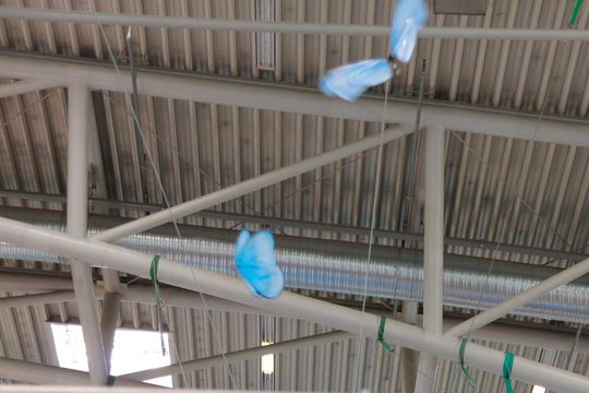 Festo lockte die Messebesucher mit 30 g leichten Schmetterlingen an den Stand. Die Aussage des Unternehmens dazu: „Wir können Leichtbau!” Festo lockte die Messebesucher mit 30 g leichten Schmetterlingen an den Stand. Die Aussage des Unternehmens dazu: „Wir können Leichtbau!”