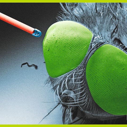 Komplexes 3D-gedrucktes Objektiv auf einer optischen Faser neben einer Fliege.