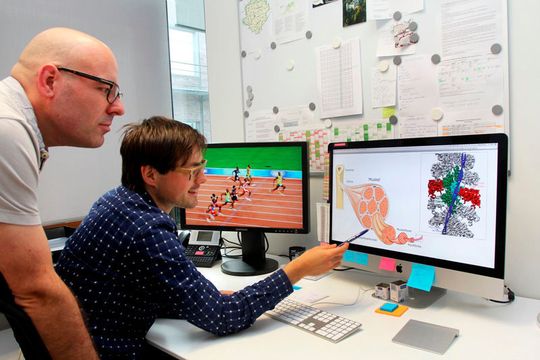 Auf den Bildern seines Elektronenmikroskops kann Stefan Raunser (links) selbst winzigste Details im Zusammenspiel der Muskelproteine erkennen.