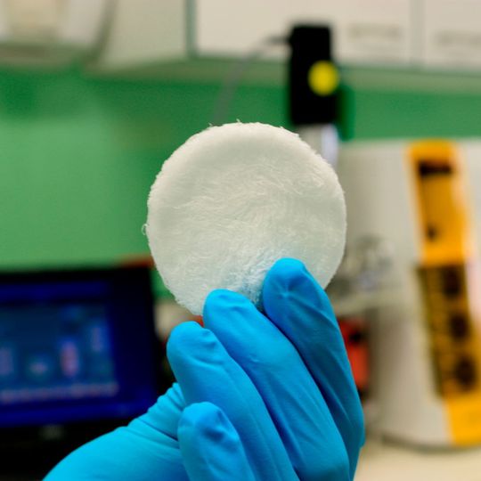 Wundauflage (Nonwoven/Vlies) aus Alginatfasern bakterieller Quelle. Bakterielle Alginat-Vliese nehmen bis zu 70% mehr Flüssigkeit auf als marine Alginat-Vliese. Wundauflage (Nonwoven/Vlies) aus Alginatfasern bakterieller Quelle. Bakterielle Alginat-Vliese nehmen bis zu 70% mehr Flüssigkeit auf als marine Alginat-Vliese.