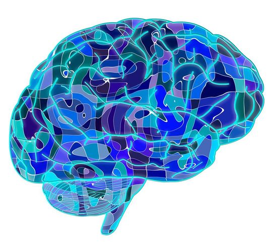 Neue Studienergebnisse kommen zu dem Schluss, dass eine möglichst früh einsetzende Therapie den Ausbruch von Multipler Sklerose verzögern oder gar verhindern kann. Neue Studienergebnisse kommen zu dem Schluss, dass eine möglichst früh einsetzende Therapie den Ausbruch von Multipler Sklerose verzögern oder gar verhindern kann.