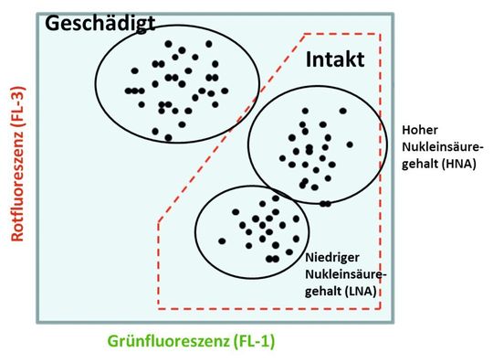 Abb. 1: Durchflusszytometrie-Signale werden meist in einem 2D-Diagramm visualisiert, bei dem jedem Signal spezifische Fluoreszenzwerte zugeordnet werden. Das schematische Beispiel zeigt intakte/lebende Bakterien im rot umrahmten Feld und tote Zellen außerhalb davon. Bei den intakten Zellen sind typischerweise Zellen mit hohem (HNA) und niedrigem (LNA) Nukleinsäuregehalt unterscheidbar. Erstere finden sich vermehrt in stagnierendem Wasser und bei hohem Nährstoffangebot.