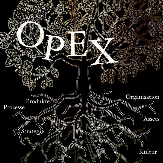 Die wichtigsten Aspekte von Opex lauten wie folgt: Strategie: Ziele und Leitplanken; Produkte: Leistung nach außen; Organisation: Strukturen im Inneren; Prozesse: Abläufe im Inneren; Kultur: Selbstverständnis; Assets: Optimale Betriebsmittelnutzung Die wichtigsten Aspekte von Opex lauten wie folgt: Strategie: Ziele und Leitplanken; Produkte: Leistung nach außen; Organisation: Strukturen im Inneren; Prozesse: Abläufe im Inneren; Kultur: Selbstverständnis; Assets: Optimale Betriebsmittelnutzung
