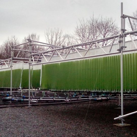 In der Kläranlage Rotenburg haben die Projektpartner Alugestänge installiert, an denen die Beutel mit den Mikroalgen befestigt sind. In der Kläranlage Rotenburg haben die Projektpartner Alugestänge installiert, an denen die Beutel mit den Mikroalgen befestigt sind.