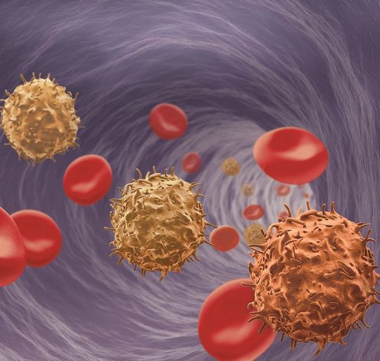 Das MACSxpress Treg Isolation Kit, human von Miltenyi Biotec ermöglicht die Isolierung von regulatorischen T-Zellen aus maximal 30 ml frischem, antikoaguliertem Vollblut. Das MACSxpress Treg Isolation Kit, human von Miltenyi Biotec ermöglicht die Isolierung von regulatorischen T-Zellen aus maximal 30 ml frischem, antikoaguliertem Vollblut.