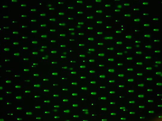 Nahaufnahme eines Comet Chip Arrays (rechts oben 4-fach vergrößert) Nahaufnahme eines Comet Chip Arrays (rechts oben 4-fach vergrößert)