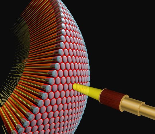 Das Fliegenhirn erkennt und verarbeitet Bewegungen sehr schnell und präzise. Wissenschaftler vereinen nun zwei theoretische Modelle dazu, wie Nervenzellen aus Lichtsignalen, die nacheinander benachbarte Facetten des Auges treffen, die Bewegungsrichtung errechnen. Das Fliegenhirn erkennt und verarbeitet Bewegungen sehr schnell und präzise. Wissenschaftler vereinen nun zwei theoretische Modelle dazu, wie Nervenzellen aus Lichtsignalen, die nacheinander benachbarte Facetten des Auges treffen, die Bewegungsrichtung errechnen.
