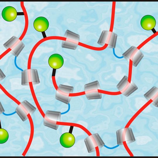 Umweltfreundliche, ringförmige Cyclodextrine aus Maisstärke (grau) bilden die Grundlage des Autolackes, der Kratzer von selbst reparieren soll. Umweltfreundliche, ringförmige Cyclodextrine aus Maisstärke (grau) bilden die Grundlage des Autolackes, der Kratzer von selbst reparieren soll.
