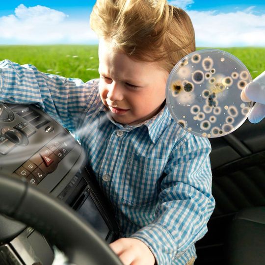 Klimaanlagen können die Atemluft mit Pilzsporen und Bakterien belasten.