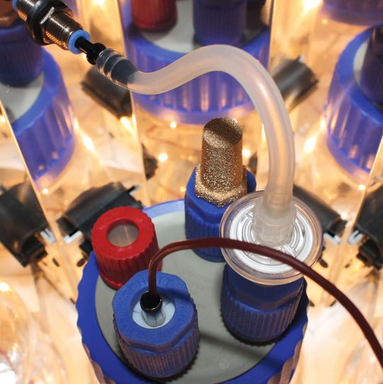 Abb. 1: Für optimale Beleuchtung – Phytolux bietet acht verschieden farbige Hochleistungs-LED + UV-A (Ausschnitt) Abb. 1: Für optimale Beleuchtung – Phytolux bietet acht verschieden farbige Hochleistungs-LED + UV-A (Ausschnitt)