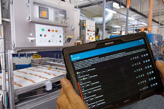 Schwachstellenanalyse anhand einer Tablet-gestützten Sichtprüfung. Schwachstellenanalyse anhand einer Tablet-gestützten Sichtprüfung.
