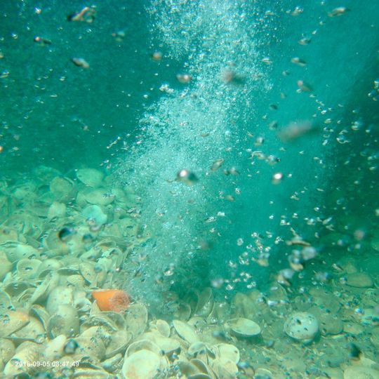 Forschende aus Kiel und Warnemünde untersuchen Methangasquelle in der nördlichen Nordsee. Aufnahme aus dem ROV PHOCA des GEOMAR. (Ausschnitt) Forschende aus Kiel und Warnemünde untersuchen Methangasquelle in der nördlichen Nordsee. Aufnahme aus dem ROV PHOCA des GEOMAR. (Ausschnitt)