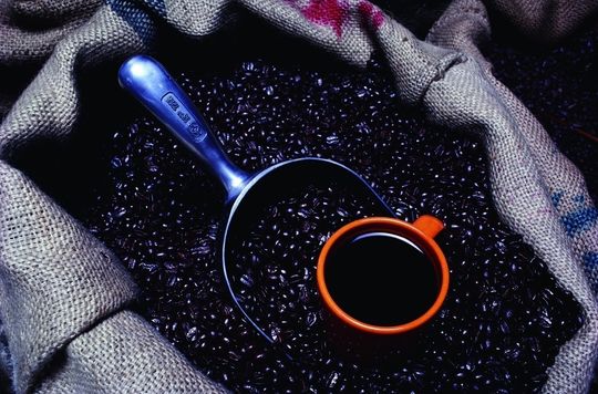 Abb 1. Mithilfe der HPLC lassen sich verschiedene Kaffeesorten unterscheiden. Abb 1. Mithilfe der HPLC lassen sich verschiedene Kaffeesorten unterscheiden.