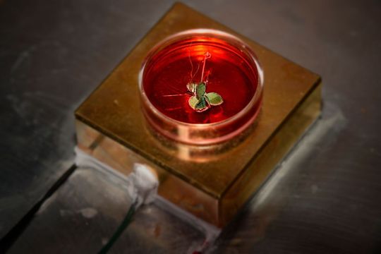 Einsatz von Peltier-Element in der Analytik Einsatz von Peltier-Element in der Analytik
