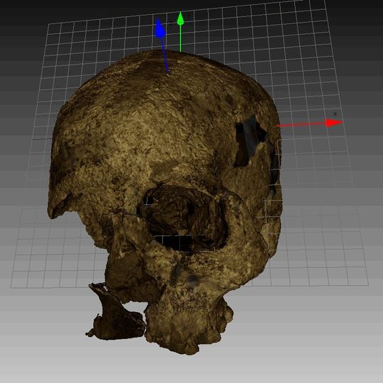 Ein Schädel aus dem Umfeld der Terrakotta-Arme: Mit modernen Scanner war es den Wissenschaftlern möglich, die Gesichter zu rekonstruieren. Ein Schädel aus dem Umfeld der Terrakotta-Arme: Mit modernen Scanner war es den Wissenschaftlern möglich, die Gesichter zu rekonstruieren.