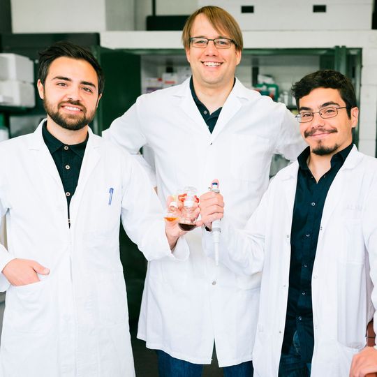 Wollen mehr Biologie in die chemische Industrie bringen: Dennis Reichert, Robert Kourist und Álvaro Gómez Baraibar (von links) Wollen mehr Biologie in die chemische Industrie bringen: Dennis Reichert, Robert Kourist und Álvaro Gómez Baraibar (von links)