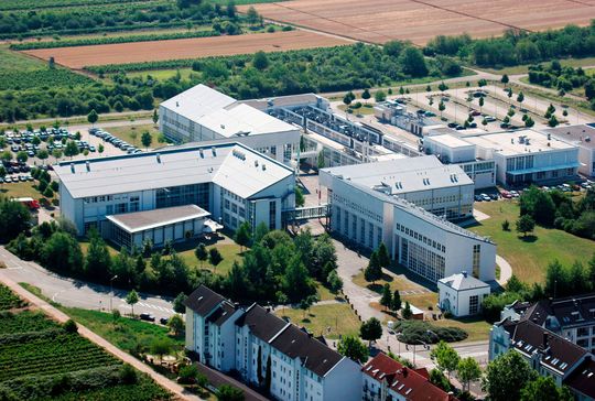 Der Campus der Technischen Hochschule in Bingen am Rhein.