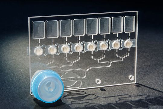 2 Einweg-Chip zur Durchführung des Assays 2 Einweg-Chip zur Durchführung des Assays