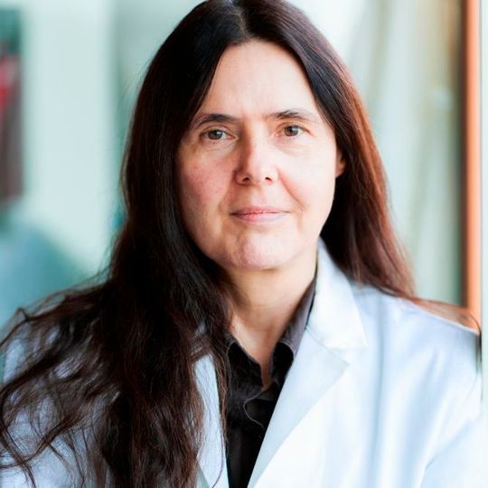 Evamarie Hey-Hawkins, Chemie-Professorin an der Universität Leipzig, leitet den Forschungsverbund Smart Inorganic Polymers (SIPs), der sich mit anorganischen Polymeren mit smarten Eigenschaften befasst. Evamarie Hey-Hawkins, Chemie-Professorin an der Universität Leipzig, leitet den Forschungsverbund Smart Inorganic Polymers (SIPs), der sich mit anorganischen Polymeren mit smarten Eigenschaften befasst.