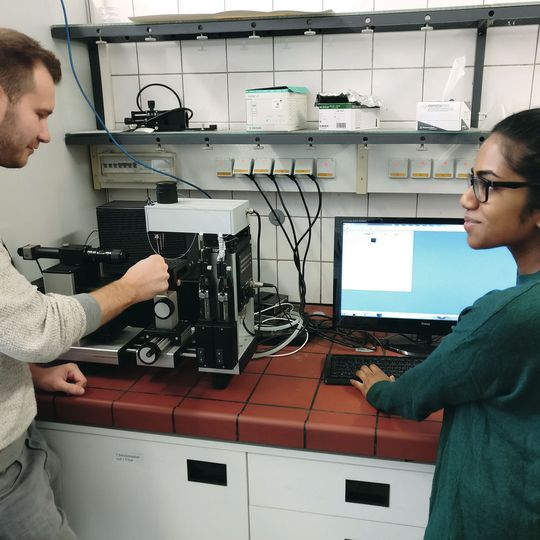 Forscher um Prof. Wolfgang Maison haben ein Verfahren zur gezielte Veränderung der Oberflächenstruktur von Metallteilen entwickelt. Forscher um Prof. Wolfgang Maison haben ein Verfahren zur gezielte Veränderung der Oberflächenstruktur von Metallteilen entwickelt.